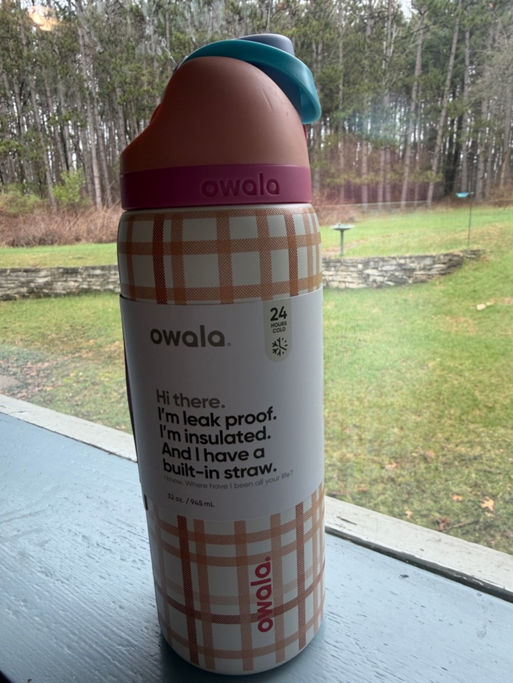 Owala Insulated Water Bottle with Built-In Straw